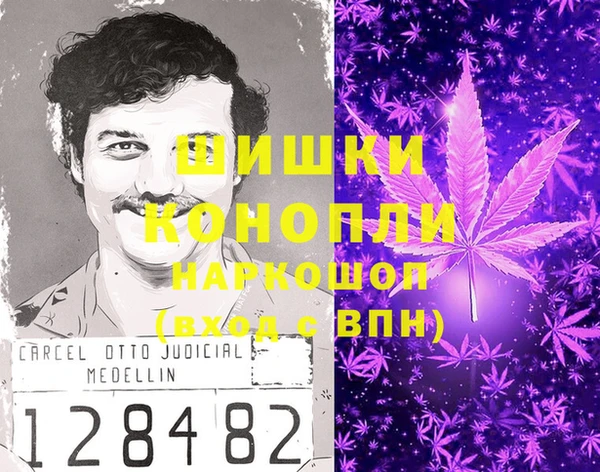 гидра Медвежьегорск