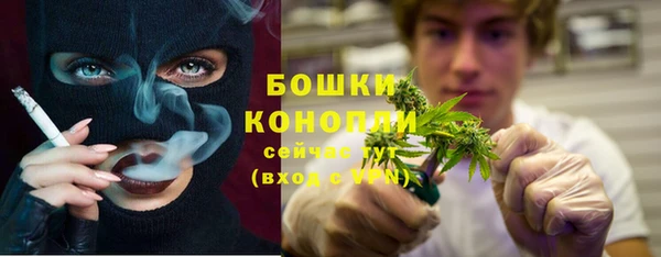 гидра Медвежьегорск