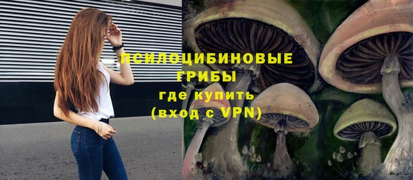 амф Медногорск