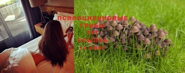 прущие крисы Мегион