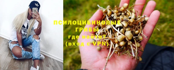 прущие крисы Мегион