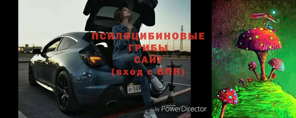 гидра Медвежьегорск
