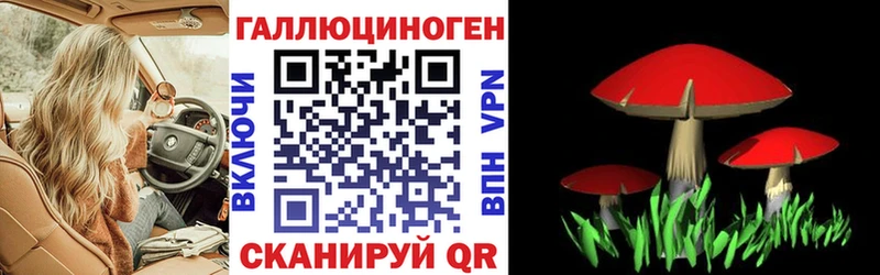как найти   Каменск-Уральский  Псилоцибиновые грибы мицелий 